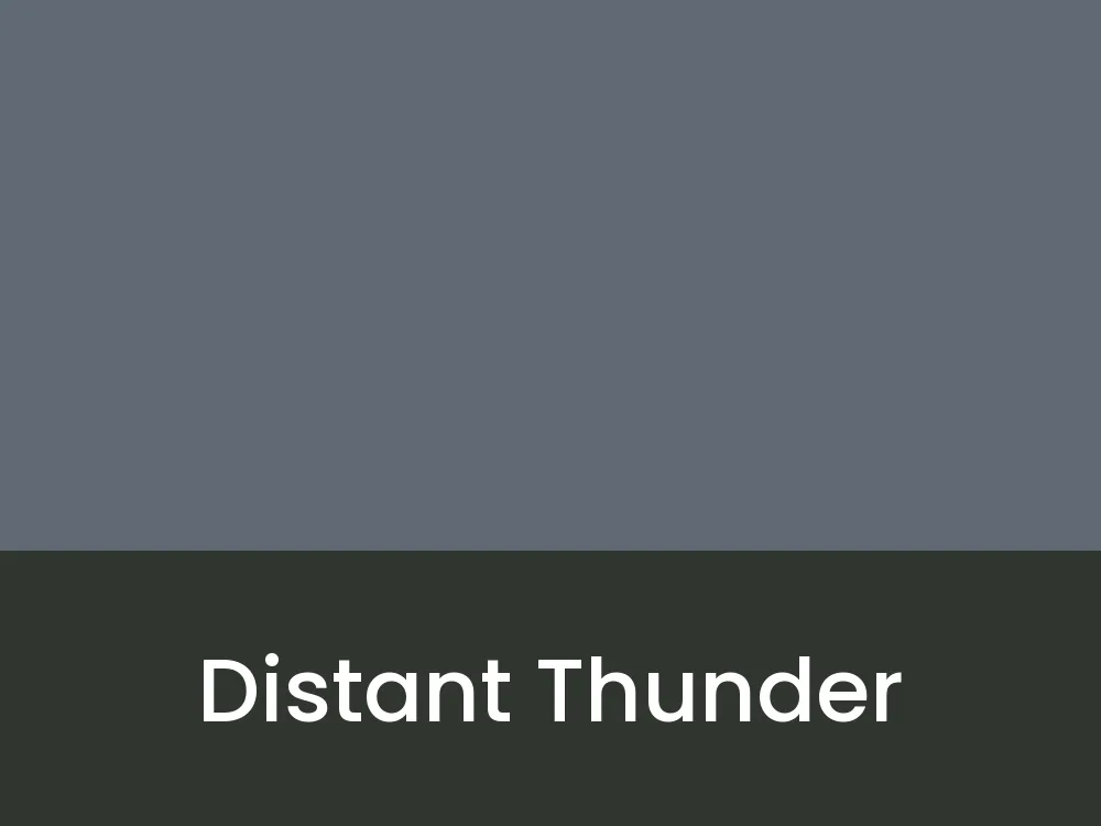 Distant Thunder