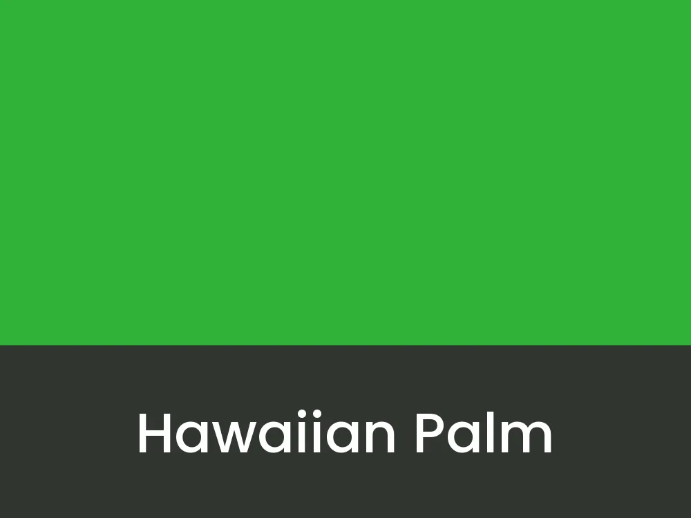 Hawaiian Palm