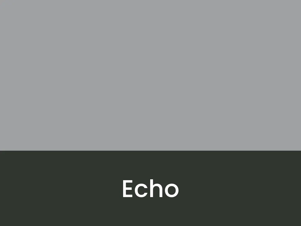 Echo