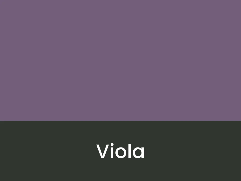 Viola
