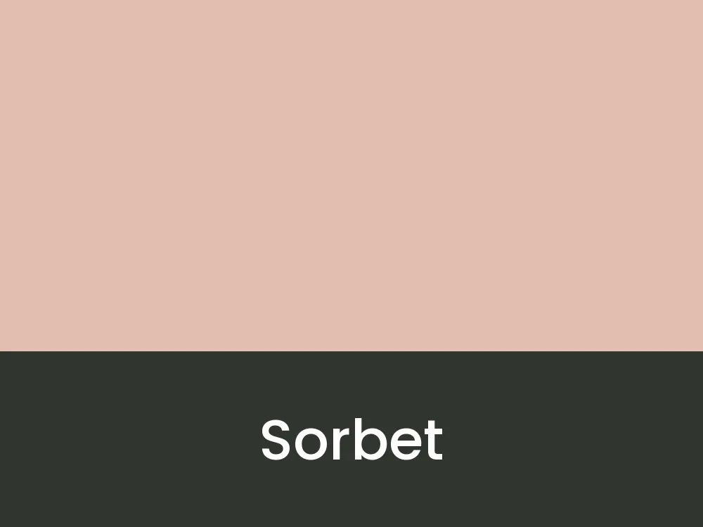 Sorbet