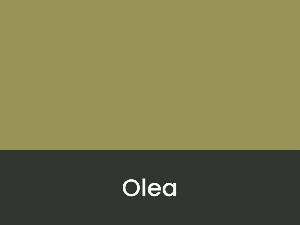Olea